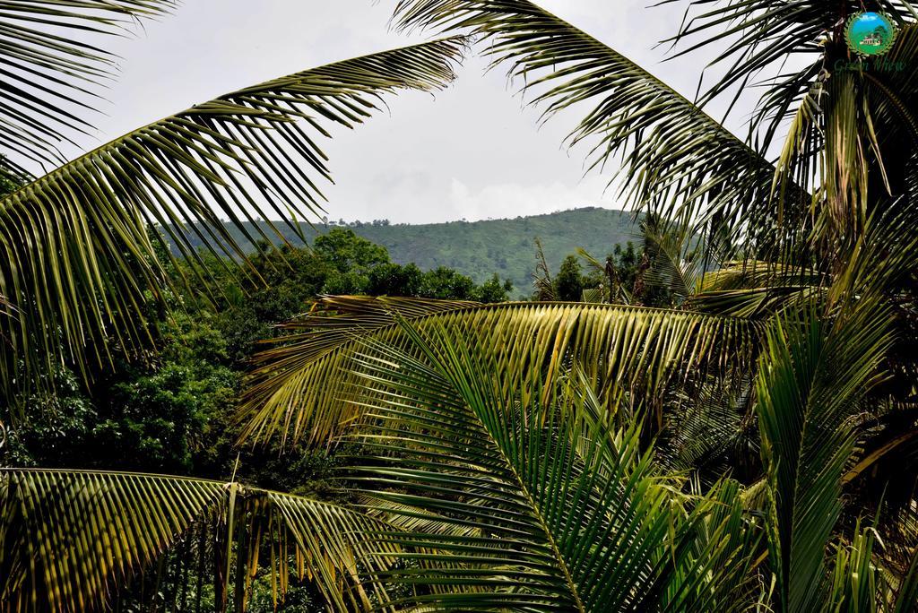 Green View เทกคาดี ภายนอก รูปภาพ